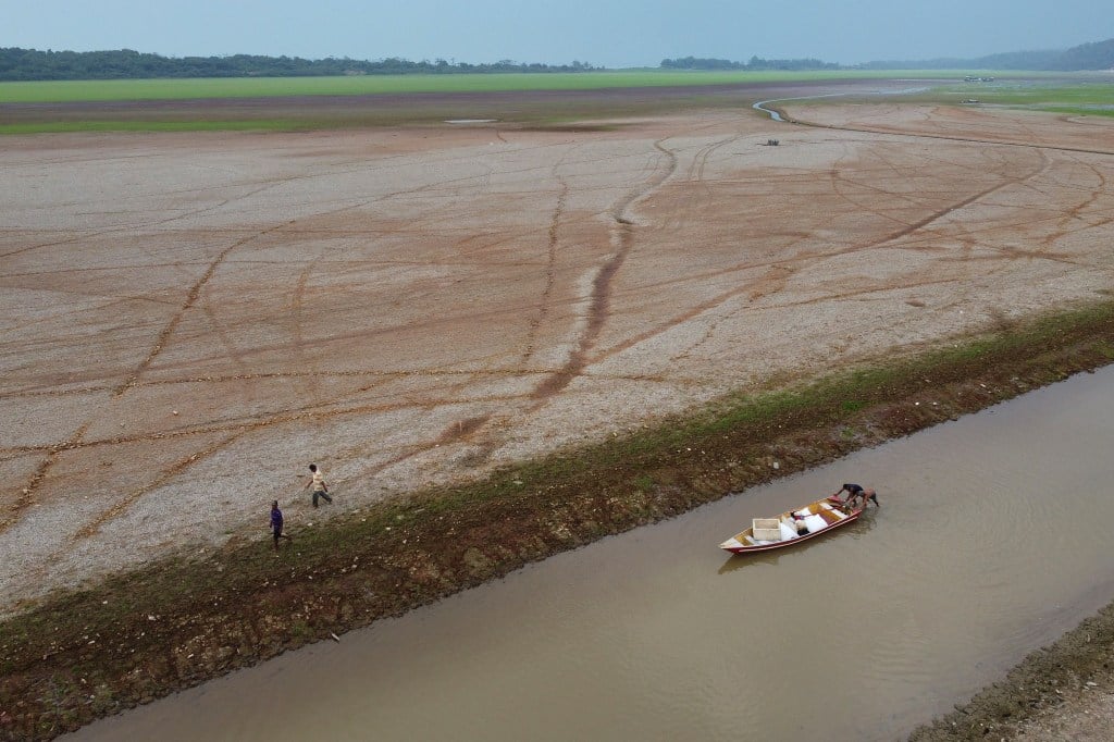 Drought, fires, deforestation battered Amazon rainforest in 2024