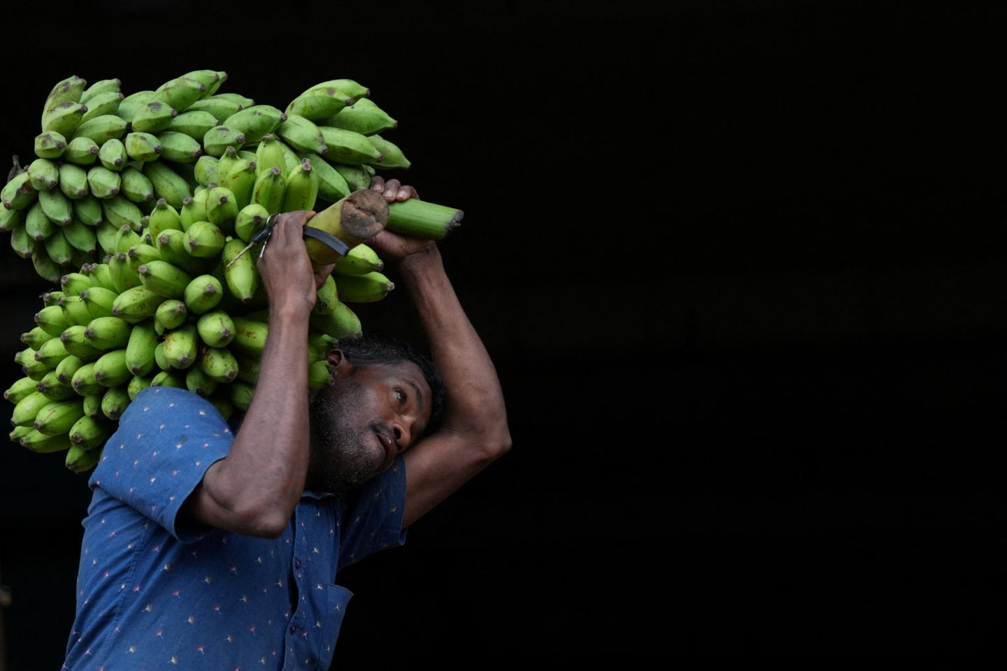 « La banane veut sauver sa peau grâce au drone »