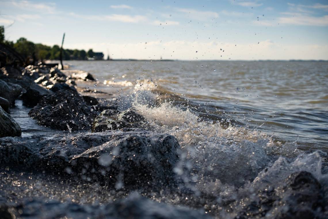 Sea predator traps crab on Oregon shoreline, photo shows. ‘Thanks for the nightmare’