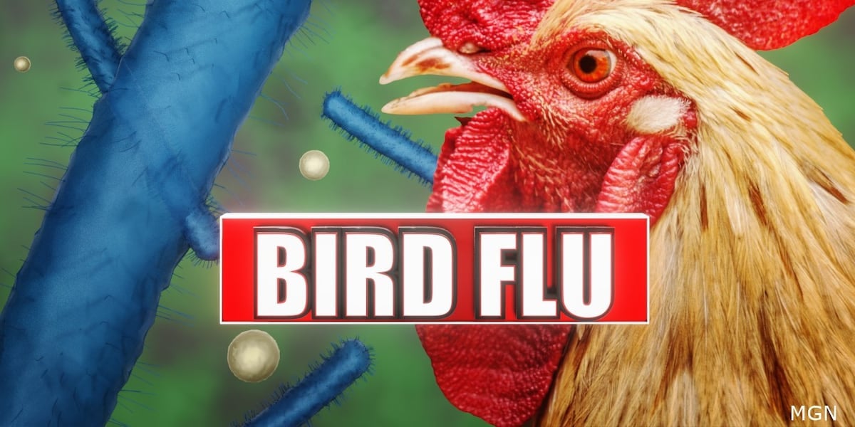 Experts address bird flu concerns in western Wisconsin