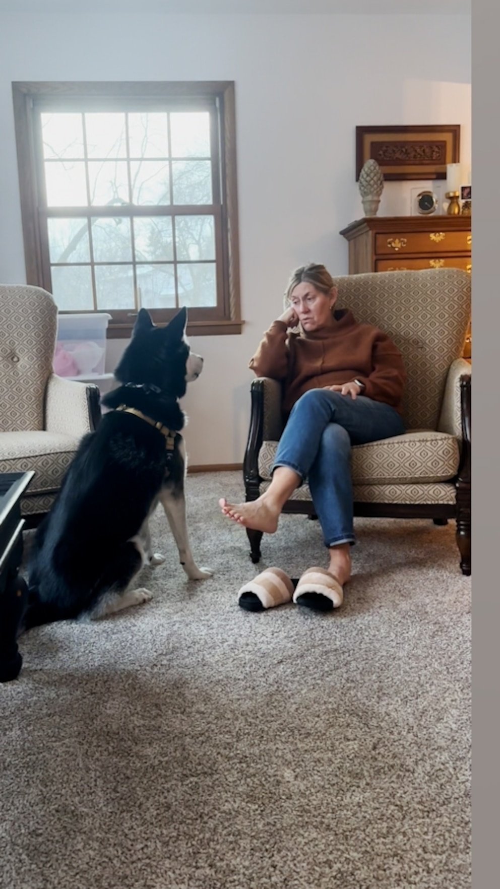 WATCH: Husky doesn't understand why grandma doesn't have his favorite jerky