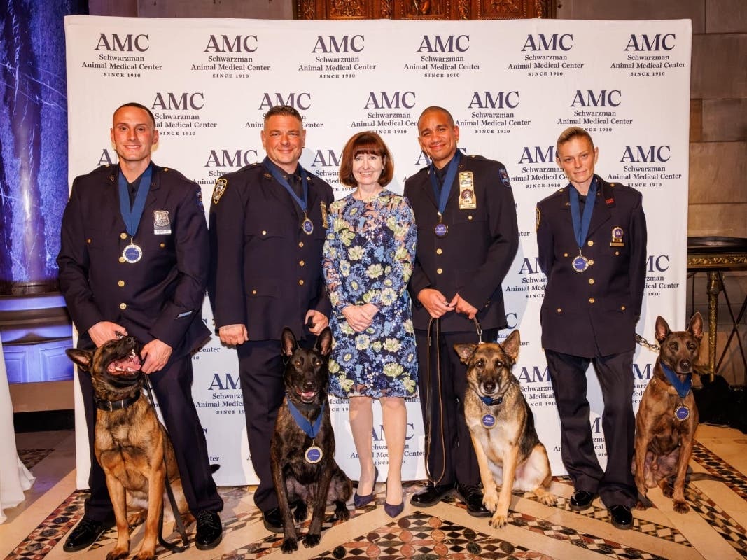 Annual NYC Top Dog Gala Honors NYPD K9 Unit Members, Handlers