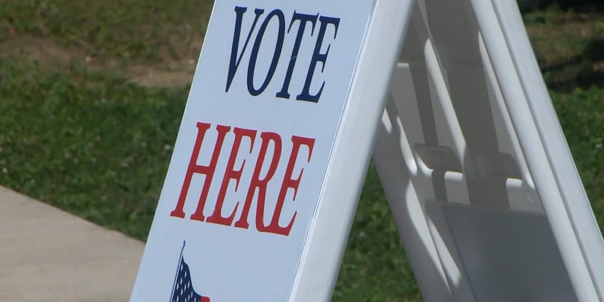 Early voting on the horizon for SC House District 113 primary special election