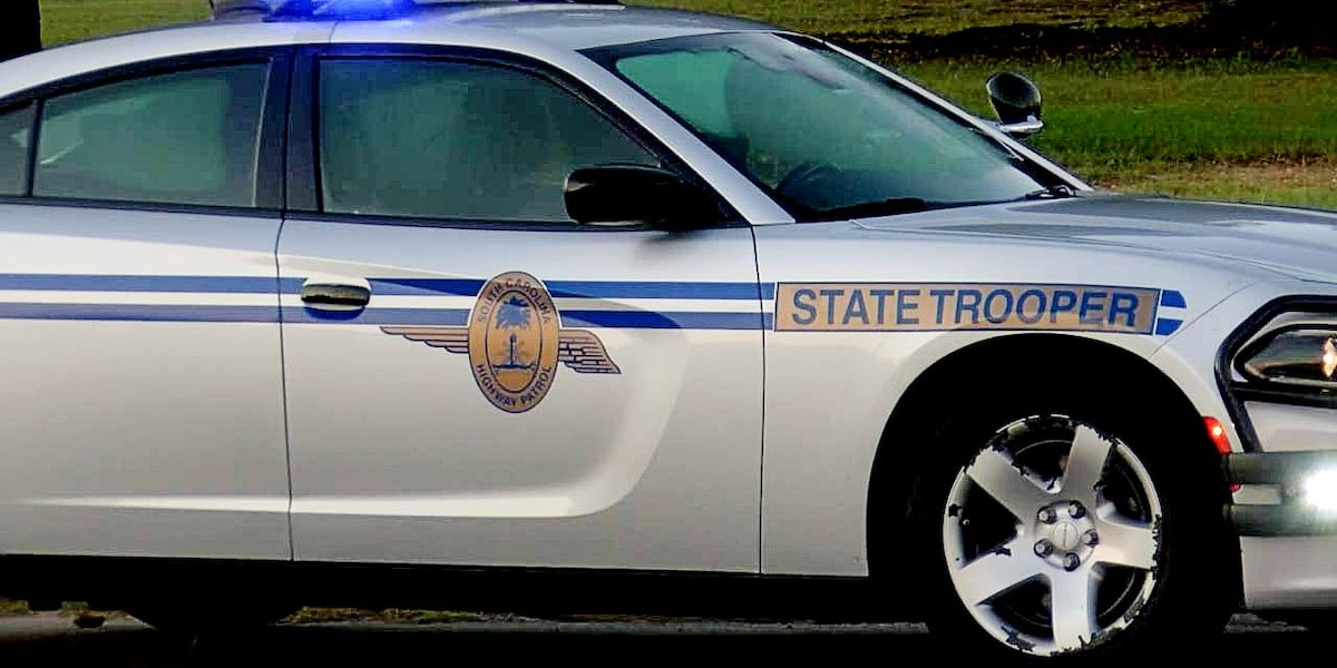 Troopers investigating fatal Orangeburg County single-car crash