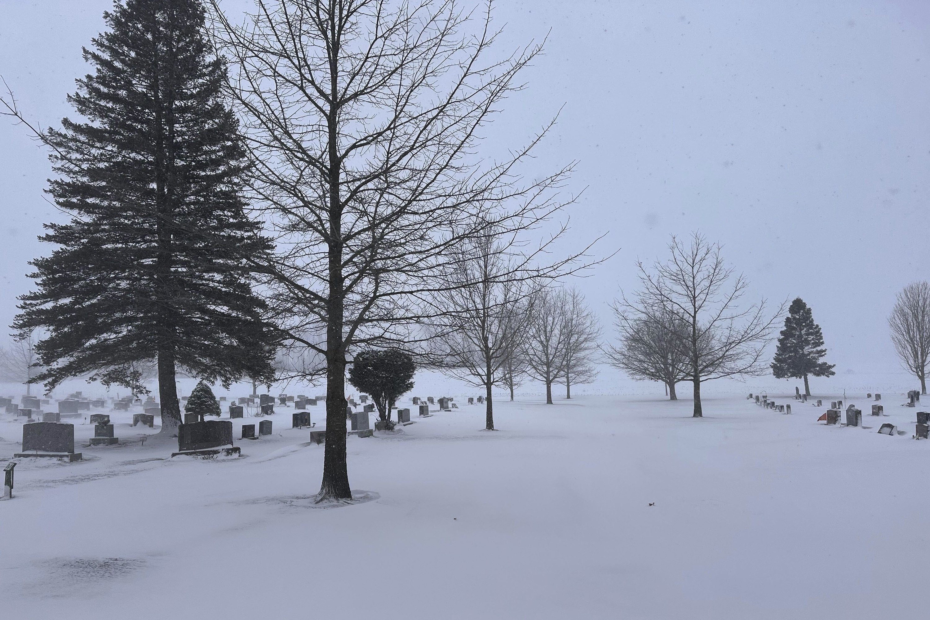 Georgia Map Shows Counties Facing Freeze When Polar Vortex Strikes