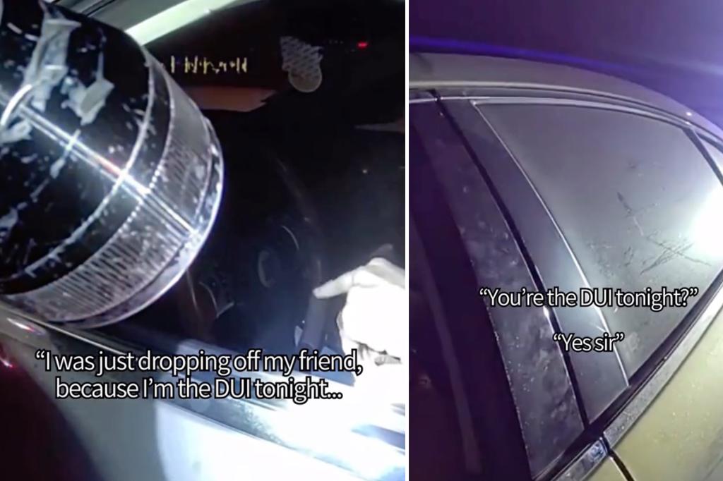 Calif. motorist arrested after saying he was the 'DUI' during traffic stop