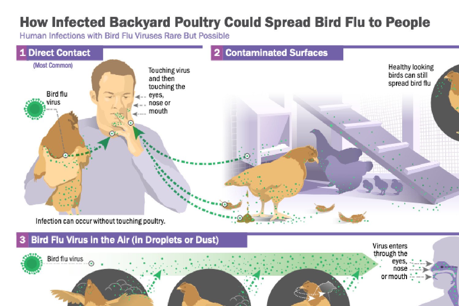 CDC Confirms First ‘Severe’ Case of H5N1 Bird Flu in U.S.