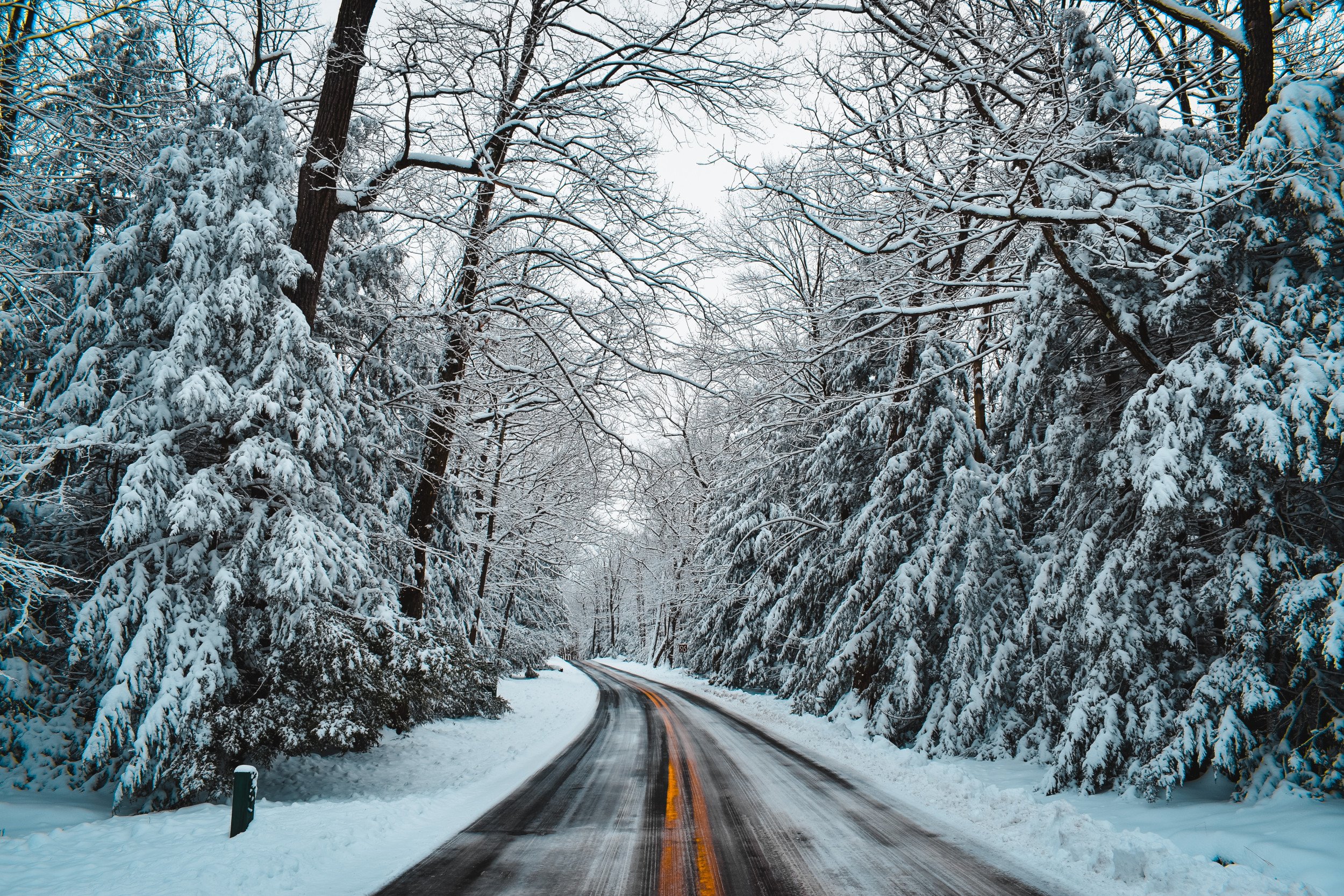 West Virginia Polar Vortex Forecast: Atlantic Coast Braces for Cold Blast