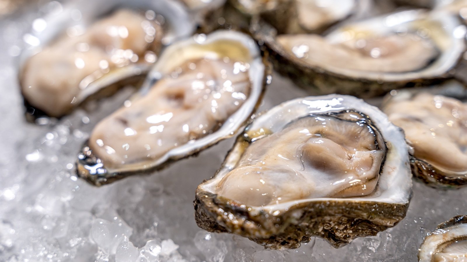 Oysters linked to norovirus outbreak sickens at least 80 people at restaurant event