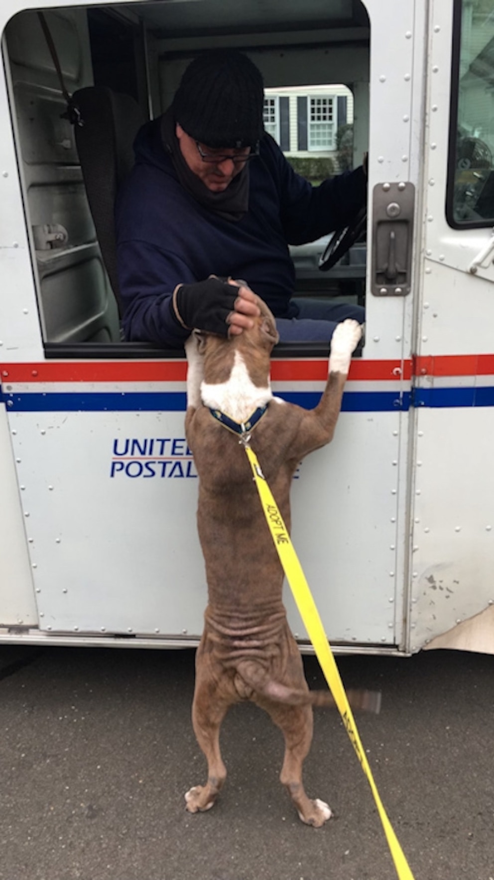 WATCH: Mailman receives special sendoff after nearly 40 years of service