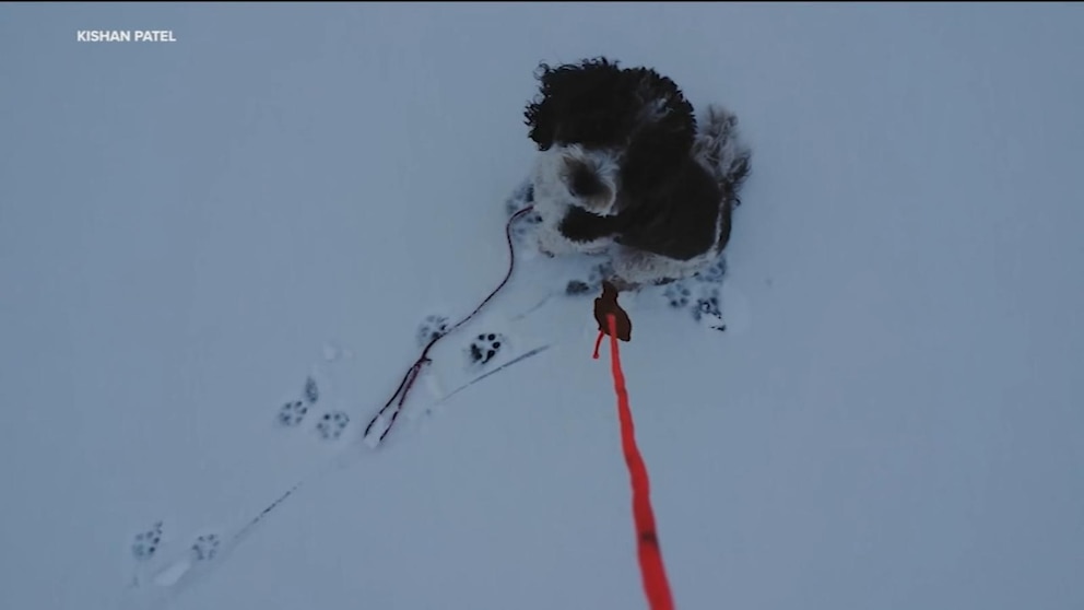 WATCH: Drone owner helps save dog from frozen lake