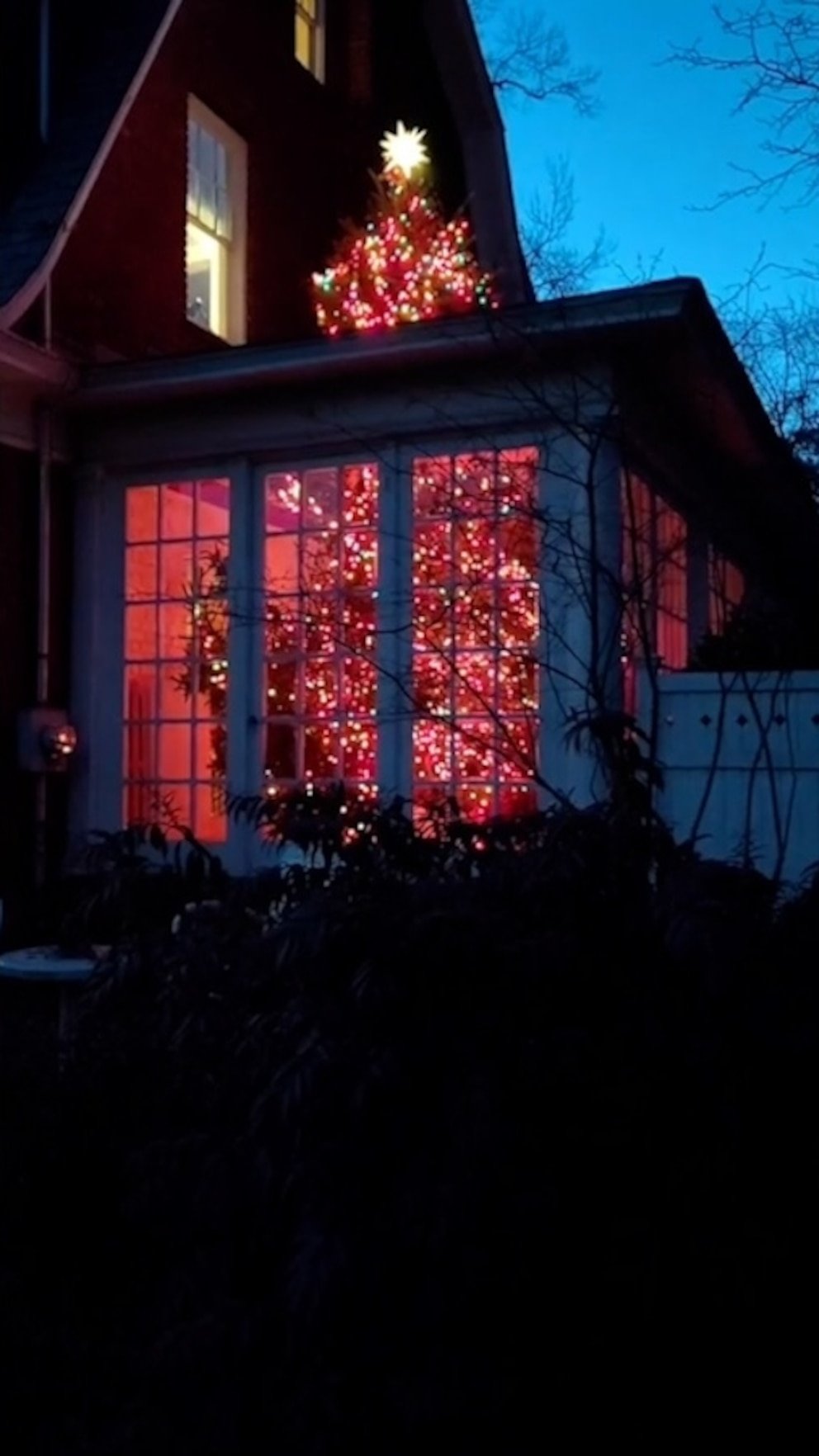 WATCH: Video of Christmas tree illusion goes viral