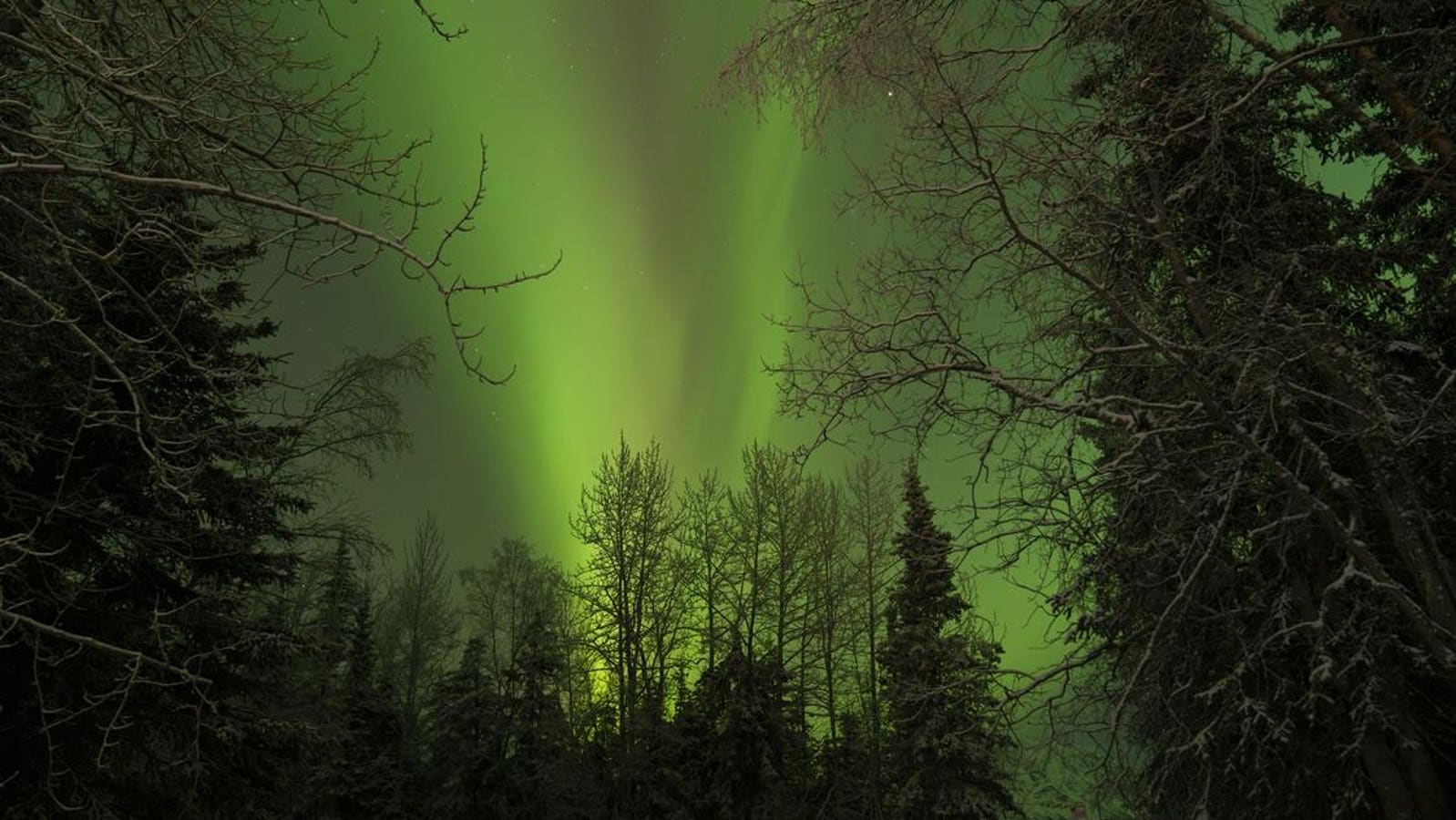 Northern Lights Forecast: These 10 States Could See Aurora Borealis Tonight As Minor Geomagnetic Storm Looms