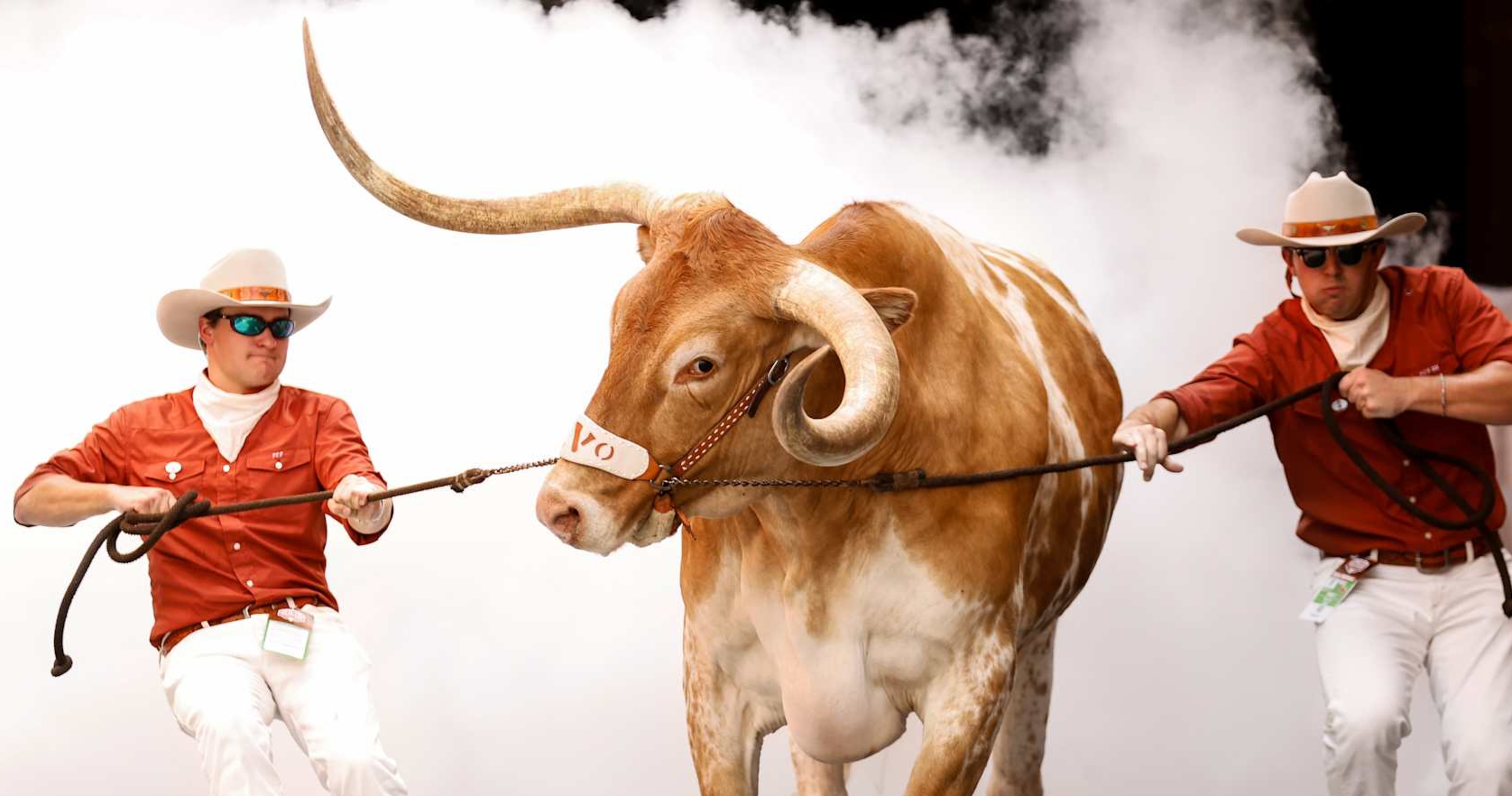 Texas Mascot Bevo to Be at CFP Semifinal vs. Ohio State After Peach Bowl Ban