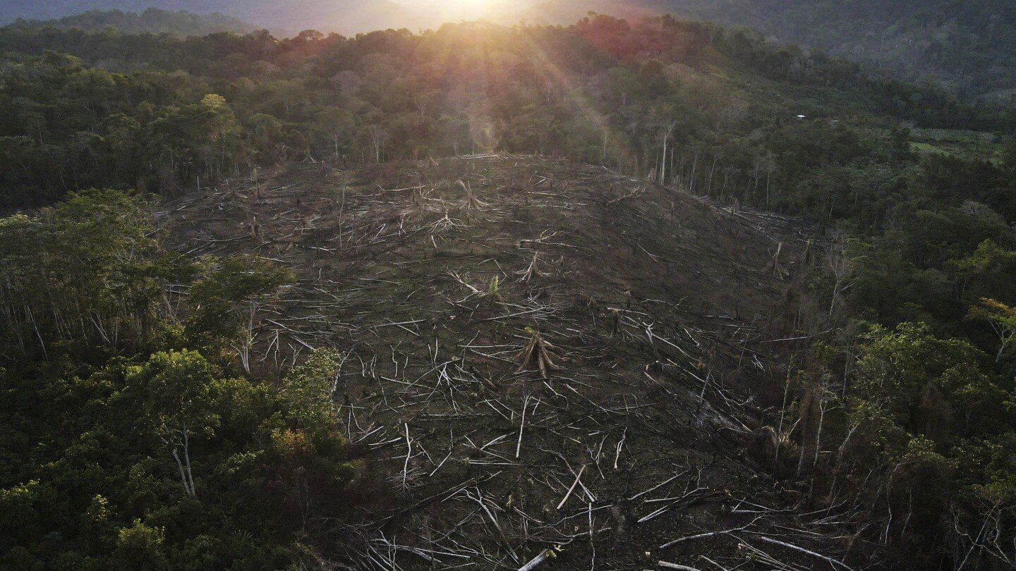 Amazon Indigenous community wins latest stage of court battle for lost territory