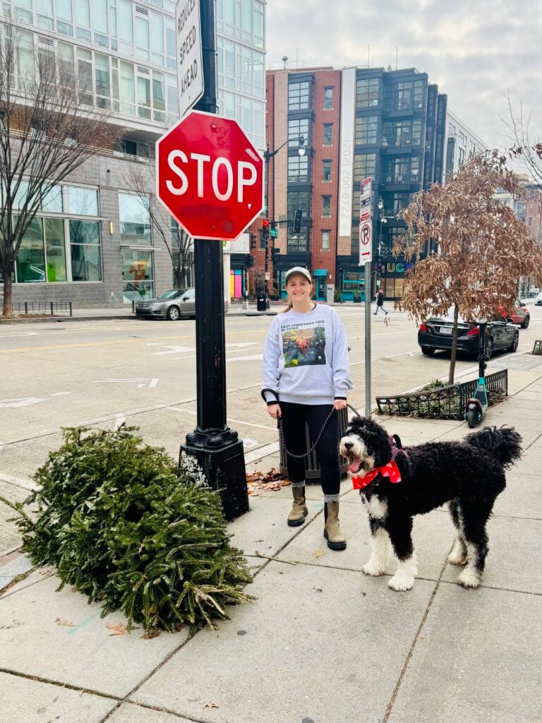 PoPville T-Shirts Continue to Travel the Globe – Costa Rica and a Last Christmas Tree spots a First Christmas Tree!