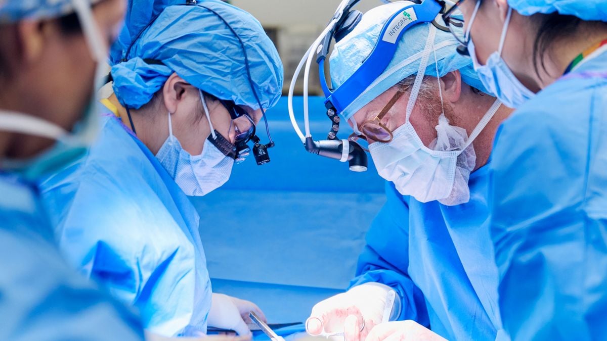 'She was waiting for a 1-in-a-million match': Alabama woman is the 3rd patient to ever get a pig kidney