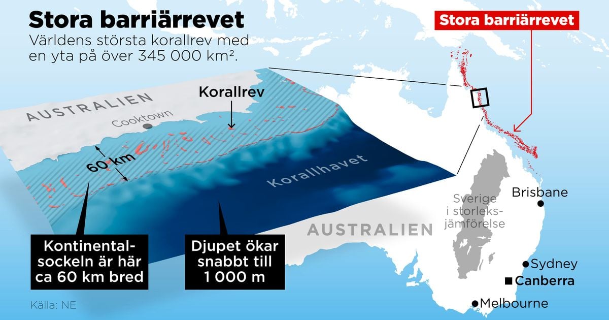 Nya rön: Så bildades Stora barriärrevet