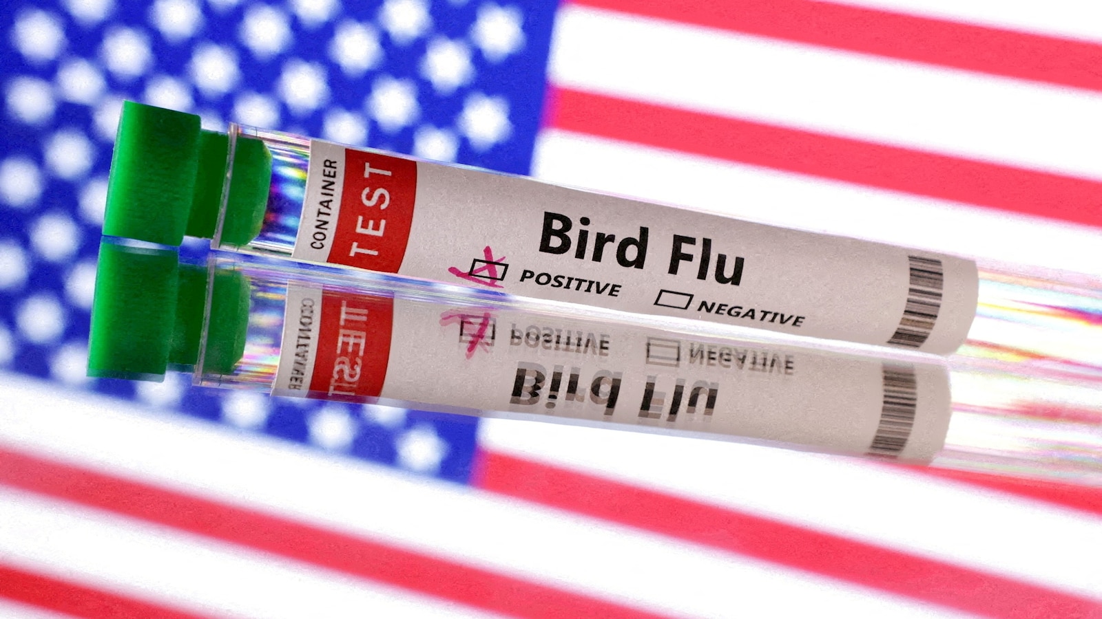 1st bird flu death in the US reported in Louisiana