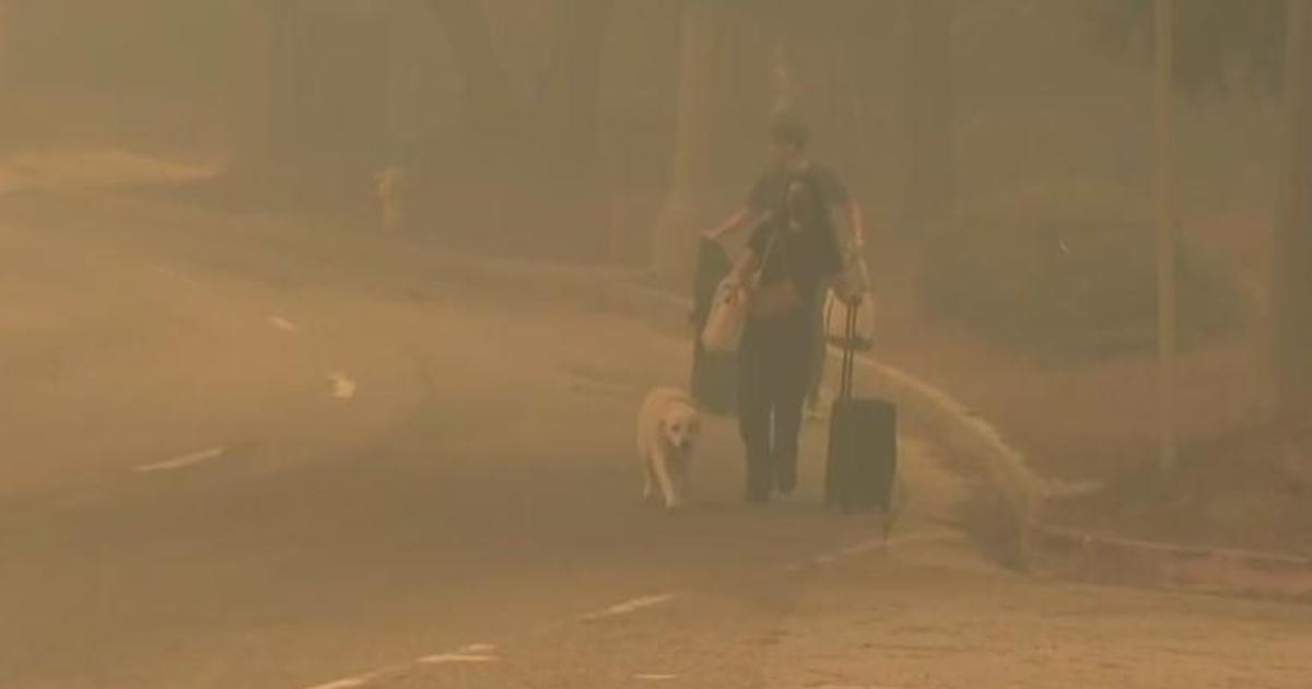 30,000 flee Palisades Fire as flames quickly spread; high winds slam Southern California