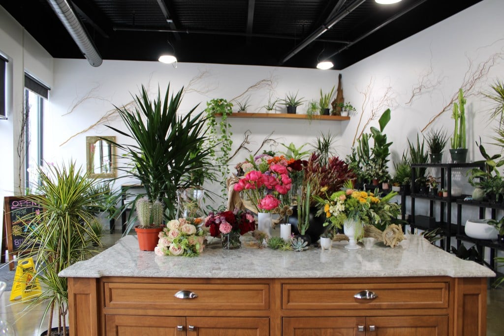 Flower shop bringing plants from around globe opens in Skokie