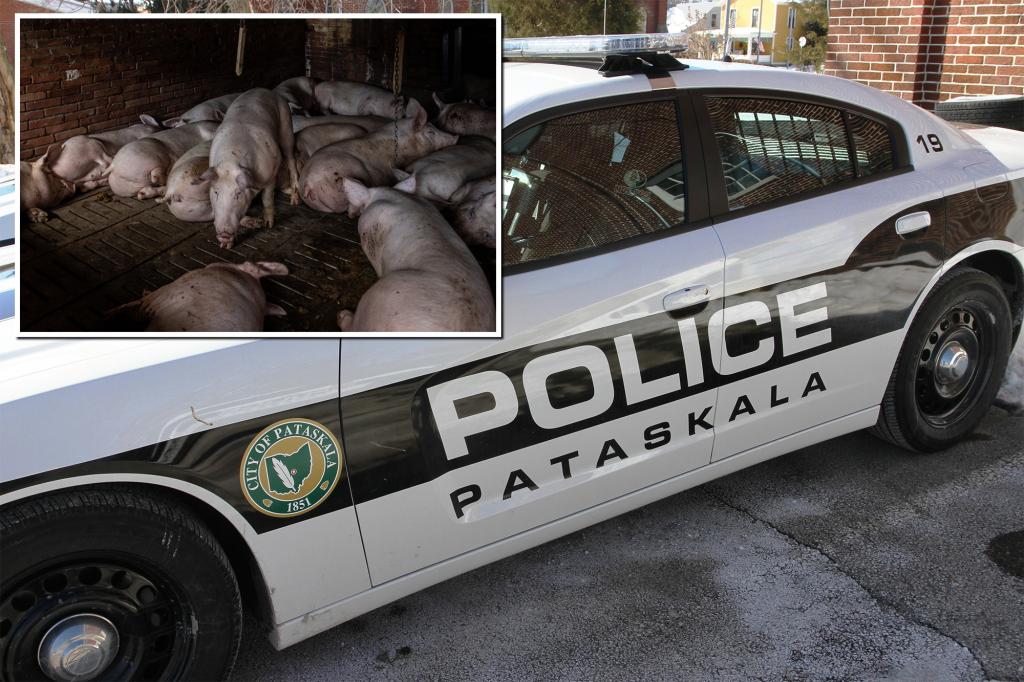 Elderly Ohio woman, 75, mauled to death and partially eaten by neighbor's pigs on Christmas: police