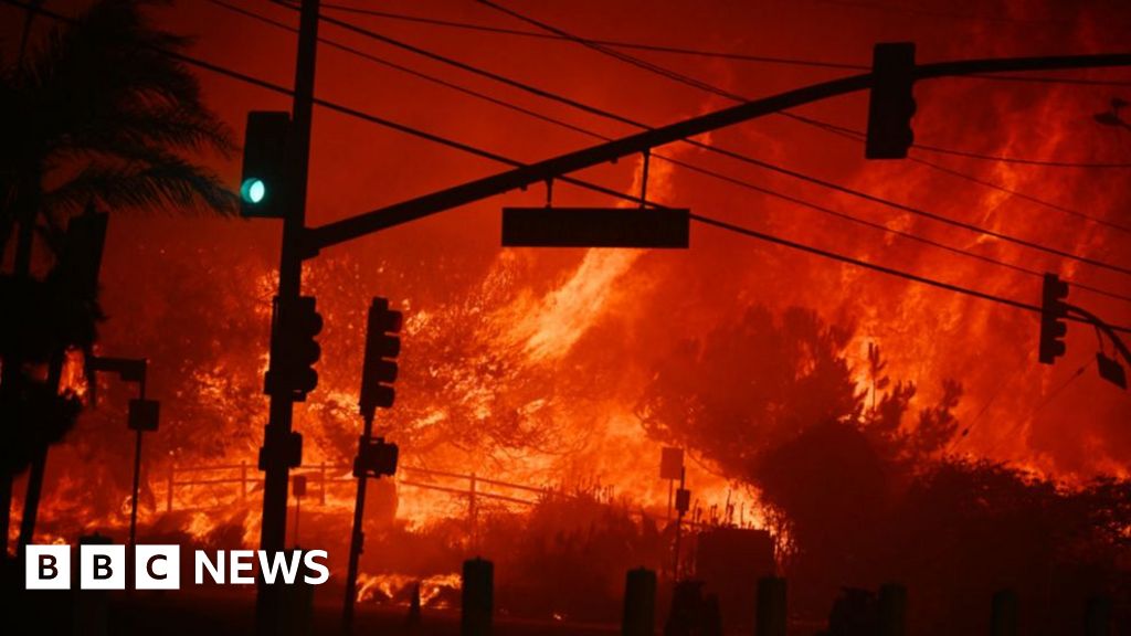 'Run for your lives!' LA residents abandon cars to flee wildfire on foot