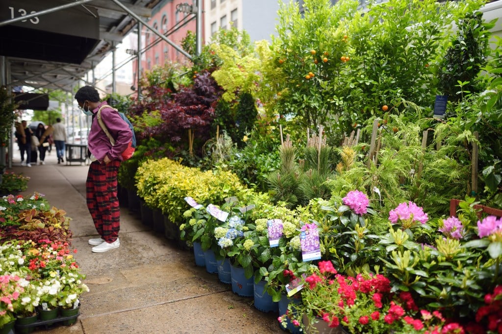 Readers sound off on NYC's flower market, Trump's expansionism and fact-checking