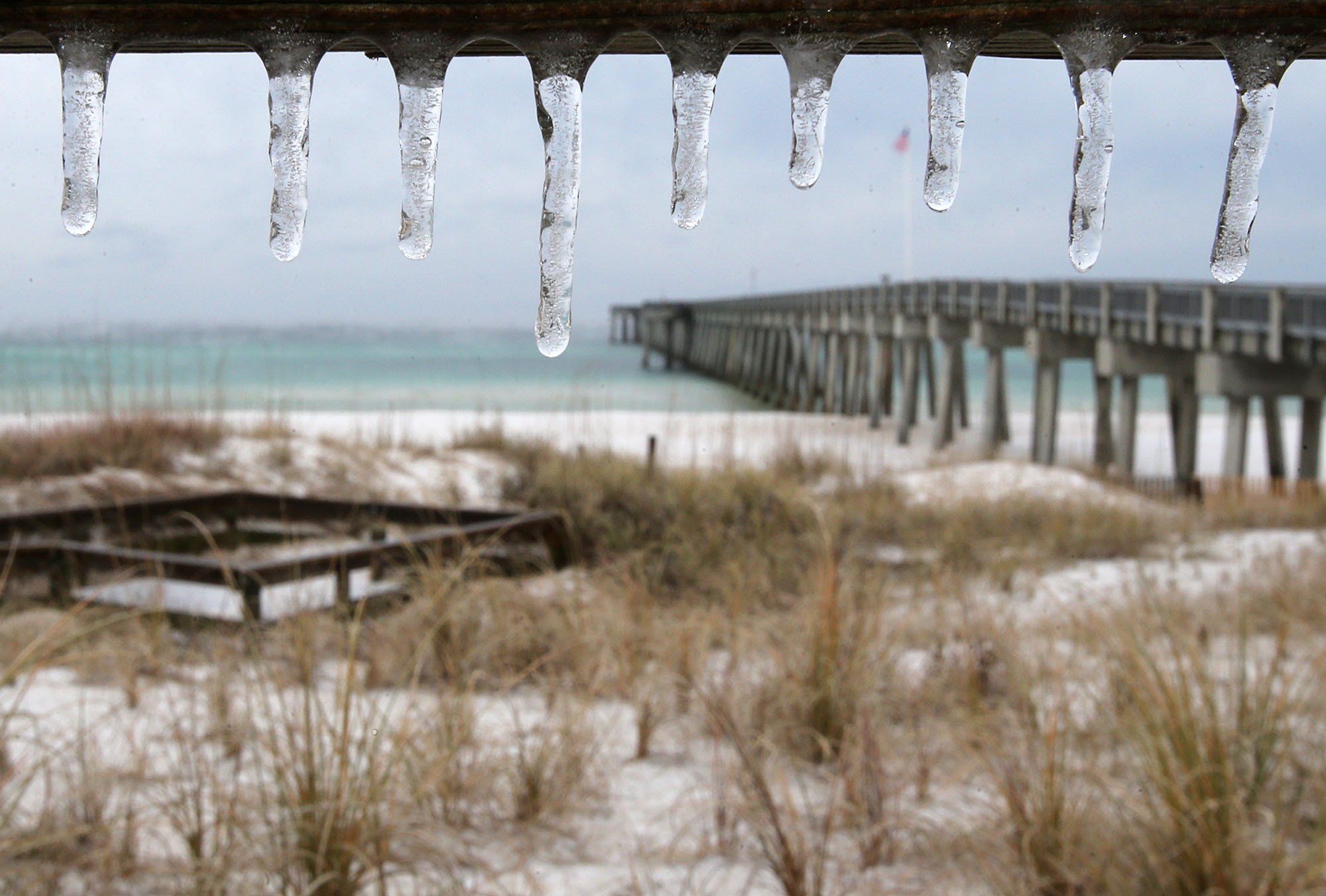 Florida Freeze Map Shows Counties To Be Hit Hardest As Frostbite Warning Issued