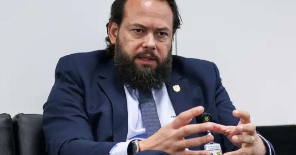 Orçamento de 2025 pode ser insuficiente para combater crimes ambientais, diz diretor da PF