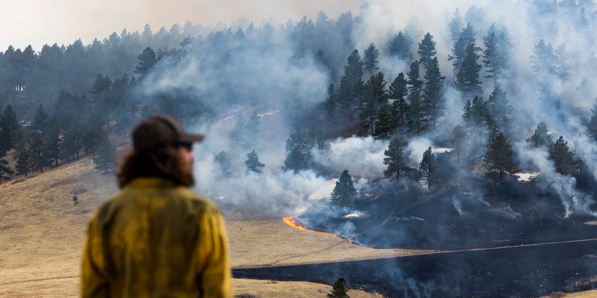 My family survived the Marshall fire in Colorado. Here's what people in Los Angeles can expect in the days and weeks to come.